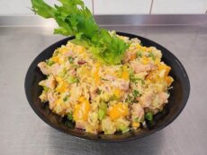 {{brizy_dc_image_alt imageSrc=